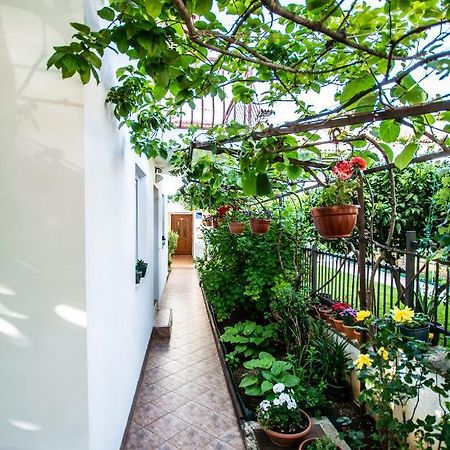 Apartments Lea Poreč Dış mekan fotoğraf